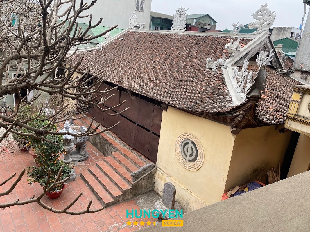 Trúc Dàn Loa Nhật – hình ảnh 3