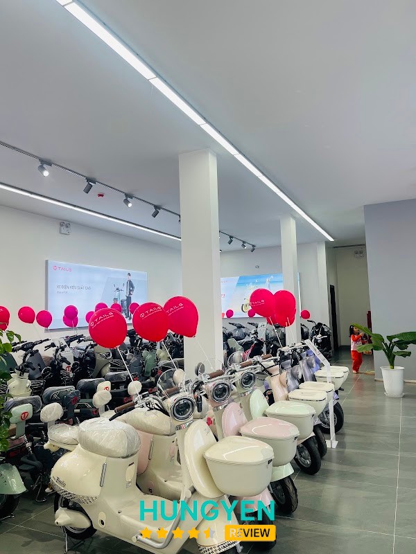 Xe Điện TAILG Thanh Loan – hình ảnh 3