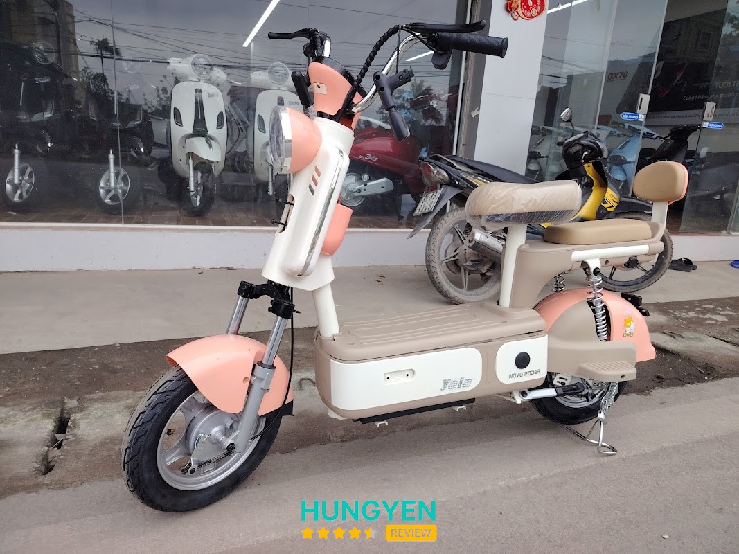 Xe Máy Điện TAILG – hình ảnh 3
