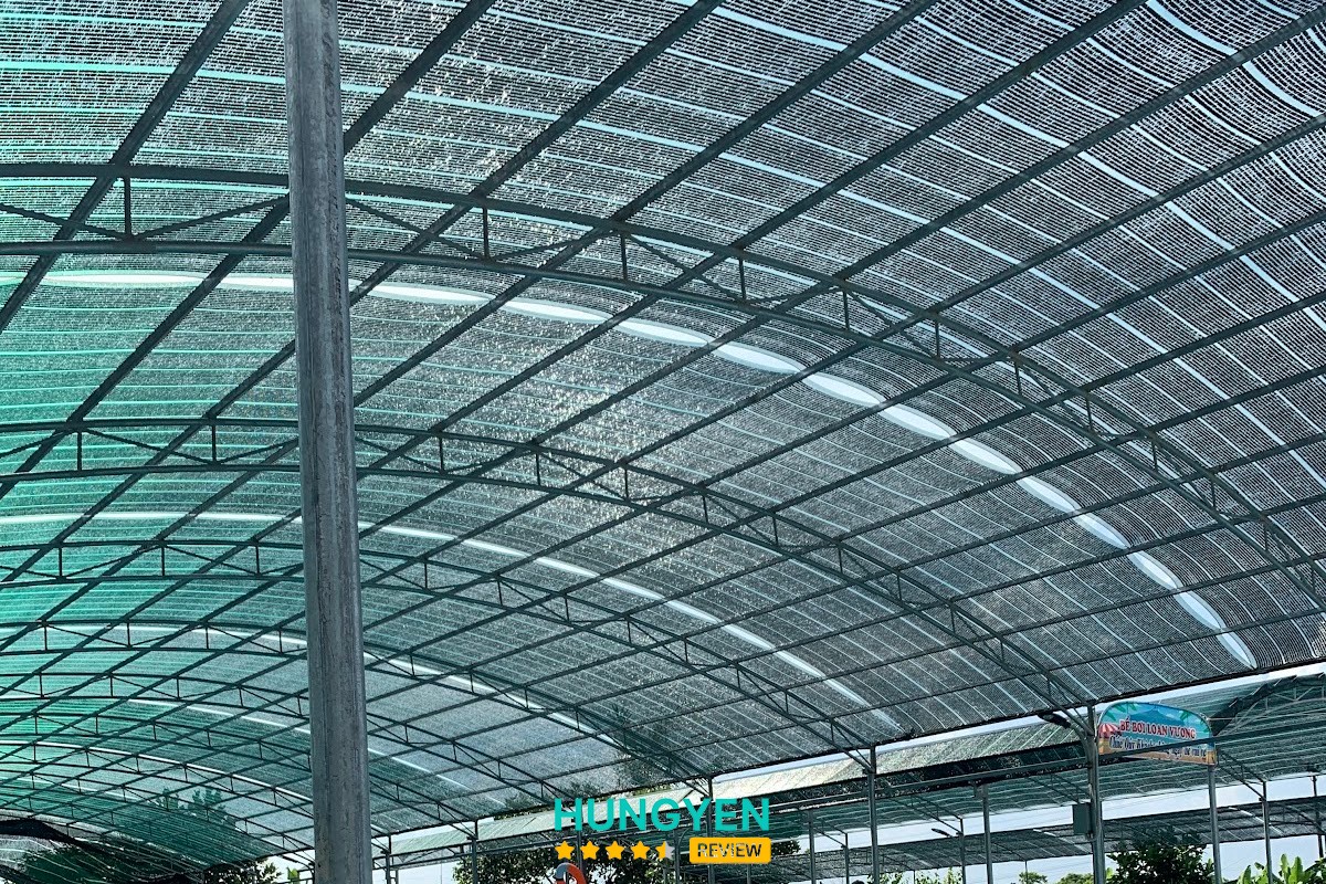 Dạy bơi Thái Bình – hình ảnh 2