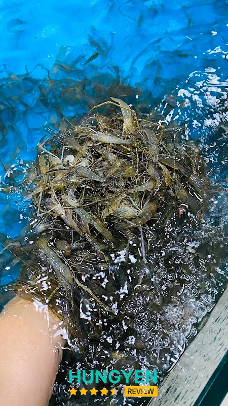 Chợ Xanh Phố Nối – hình ảnh 3