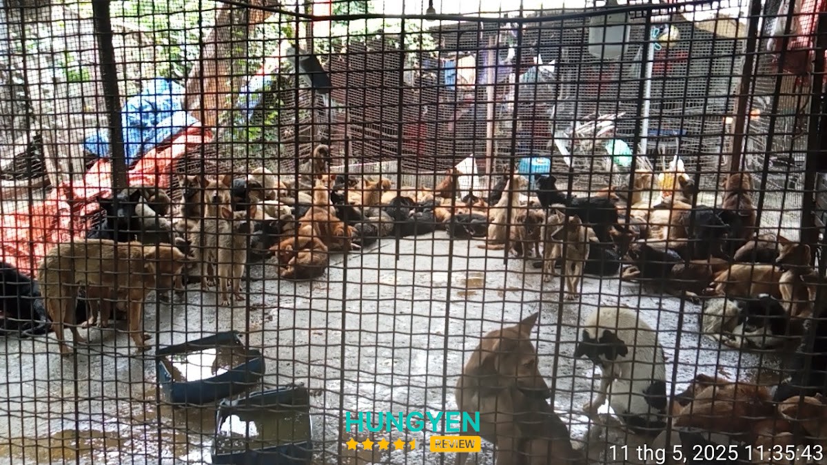 Chợ Làng Khoai – hình ảnh 3