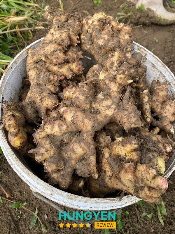 Chợ Bồ Xuyên - Chợ đầu mối – hình ảnh 3