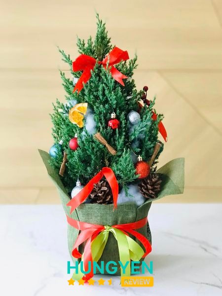 Thiết kế nội thất Rêu Decor