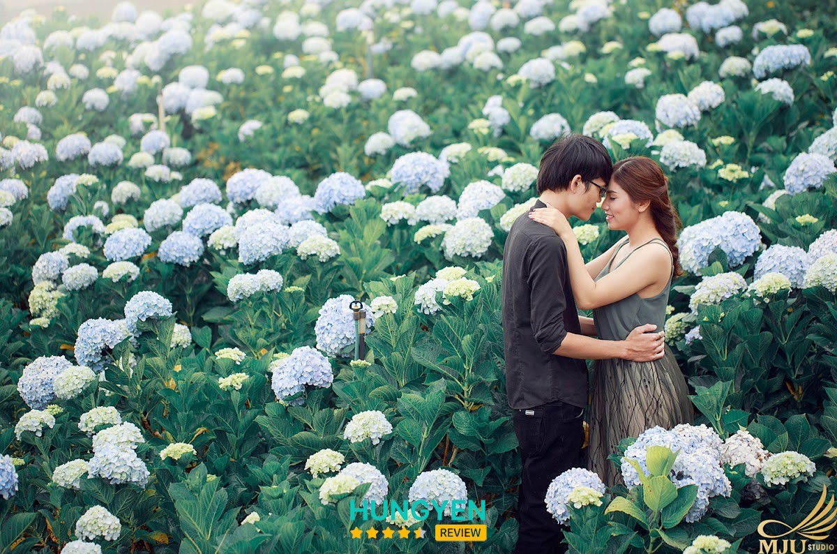 Mju Studio – hình ảnh 2
