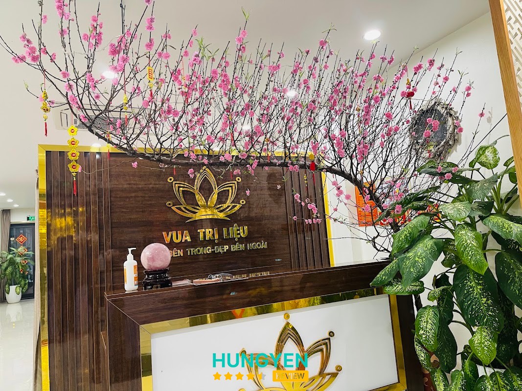 VUA TRỊ LIỆU – hình ảnh 2