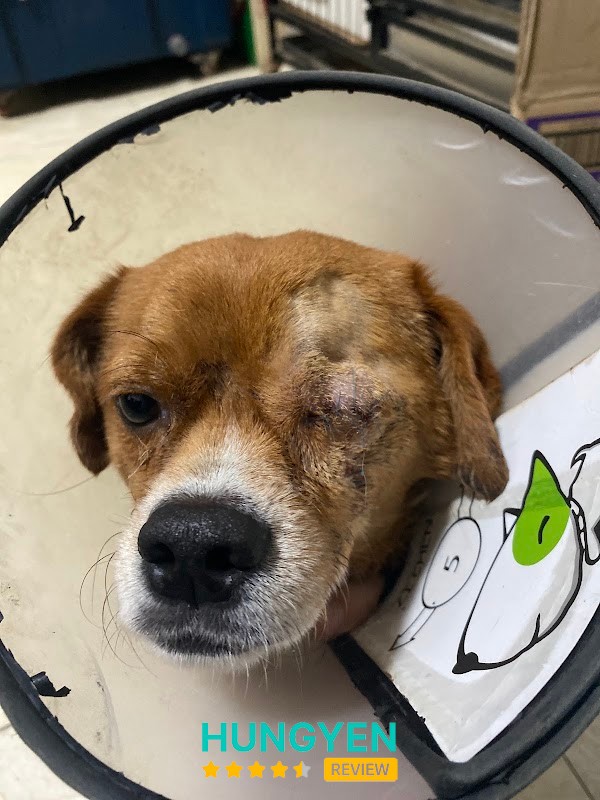 Phòng Khám Thú Y Pet Care Hưng Yên – hình ảnh 2