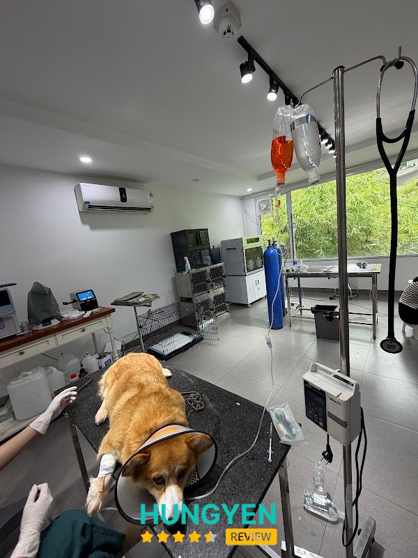Phòng Khám Thú Y Ecovet - BSTY Bùi Anh Tuấn Phụng Công