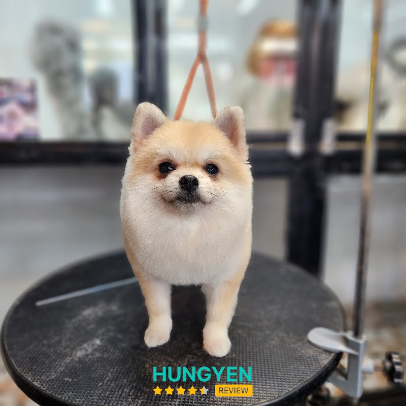 Bệnh viện thú y VET247 – hình ảnh 1