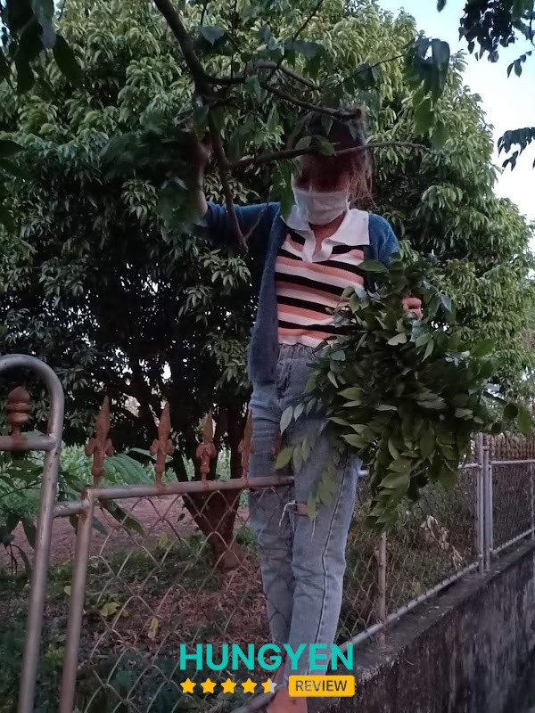 Hải Sản Biển Thái Bình – hình ảnh 1
