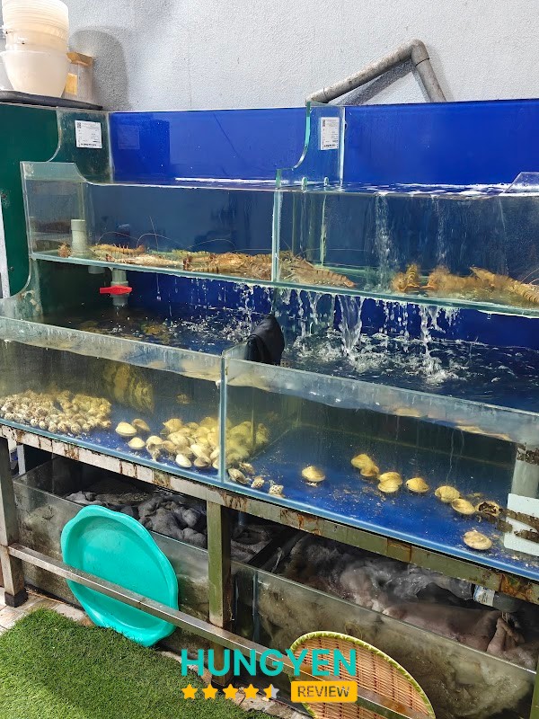 Ốc hải sản Cô Nhung – hình ảnh 3