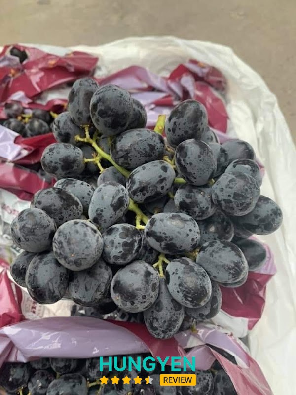 HOA QUẢ SẠCH - OANH FRUIT – hình ảnh 3