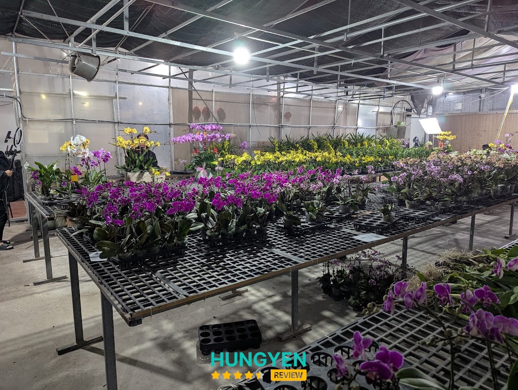Vườn lan Berry - Hợp tác xã NN Minh Hồng Xanh – hình ảnh 2