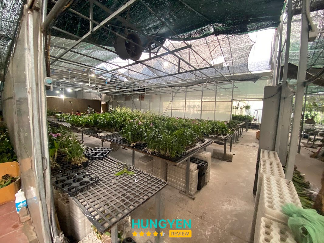 Vườn lan Berry - Hợp tác xã NN Minh Hồng Xanh – hình ảnh 3