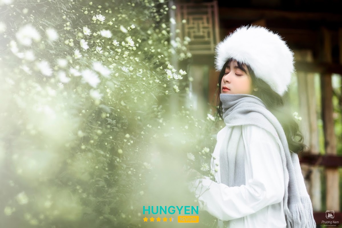 Shop Hoa Tươi Văn Lâm, Hưng Yên – hình ảnh 2