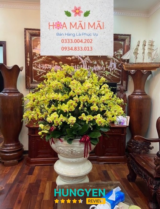 Điện Hoa Hưng Yên Phố Hiến