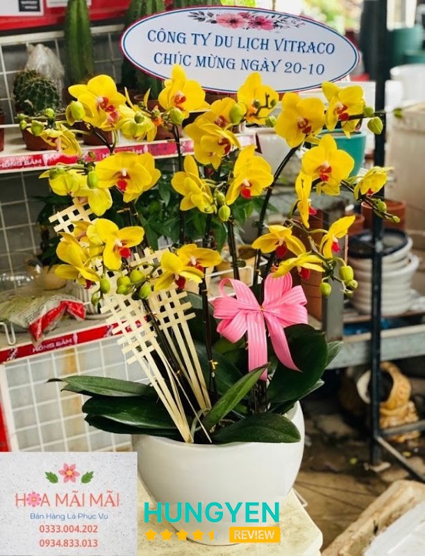 Điện Hoa Hưng Yên hình ảnh 3