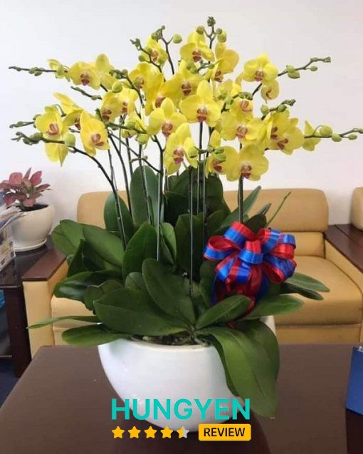 Shop Hoa Tươi Yên Mỹ - hình ảnh 3