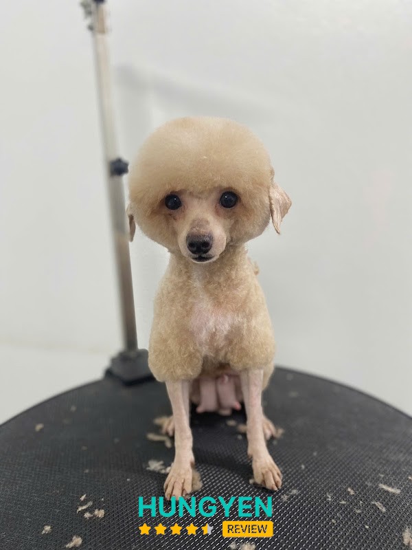 TPet Spa-Tiệm Làm Đẹp Thú Cưng Hưng Yên