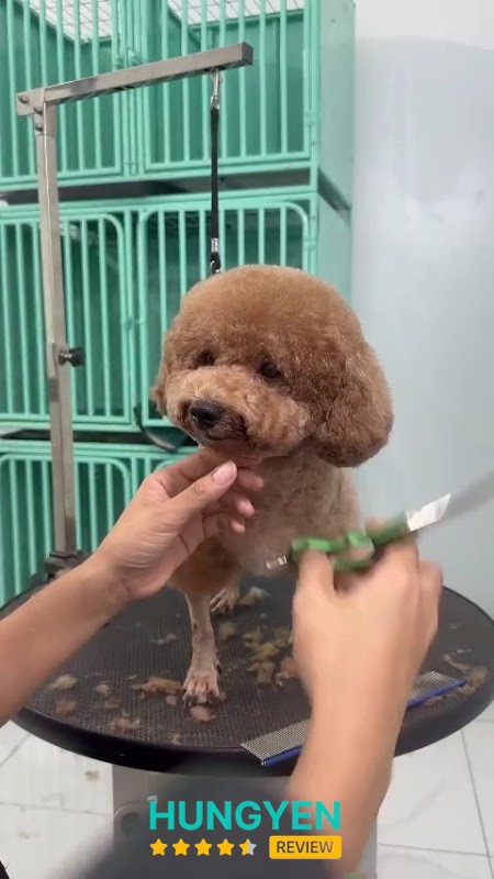 TPet Spa-Tiệm Làm Đẹp Thú Cưng – hình ảnh 2