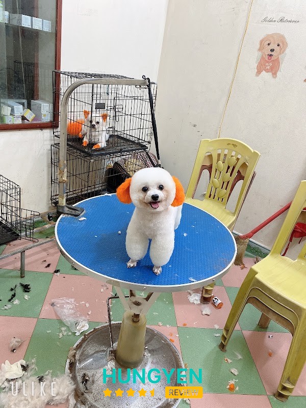 Phòng khám thú y -Spa HAPPY PET Hưng Yên