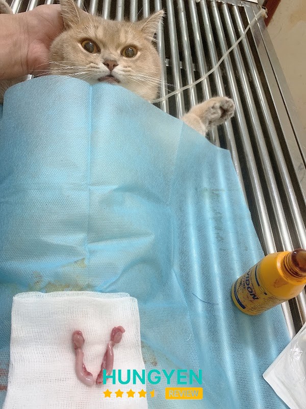 Phòng khám thú y -Spa HAPPY PET – hình ảnh 2