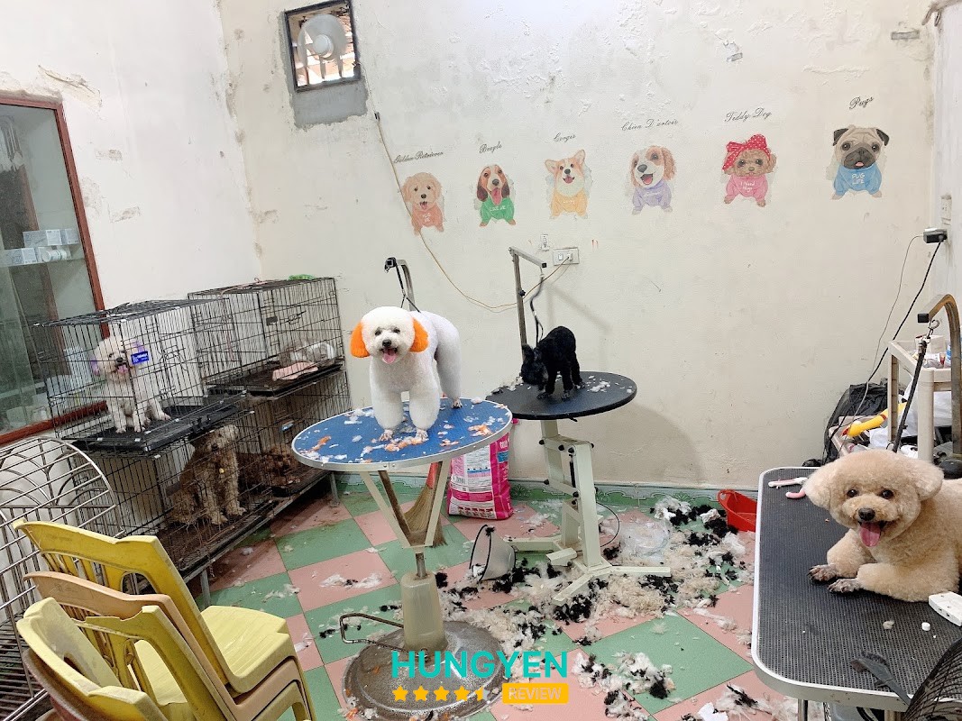 Phòng khám thú y -Spa HAPPY PET – hình ảnh 3