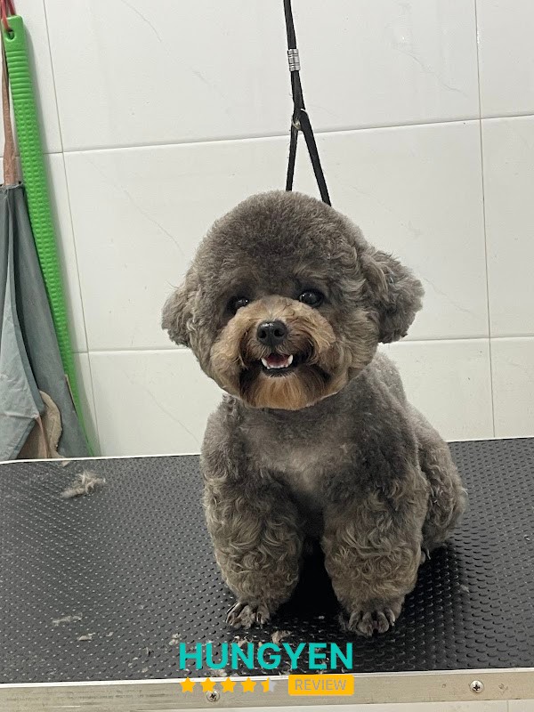 199X Petspa Thiên Đường Thú Cưng Hưng Yên