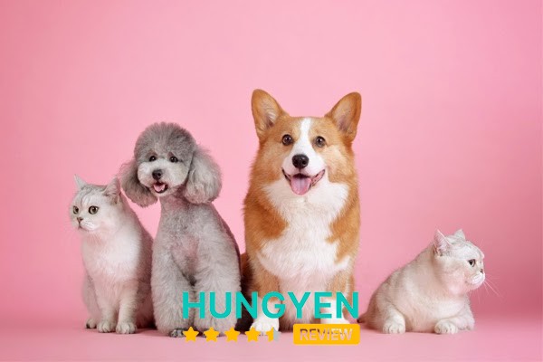 199X Petspa Thiên Đường Thú Cưng – hình ảnh 3