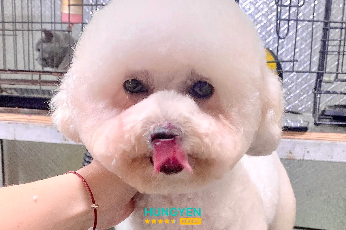Spa thú cưng Moon Pet – hình ảnh 3