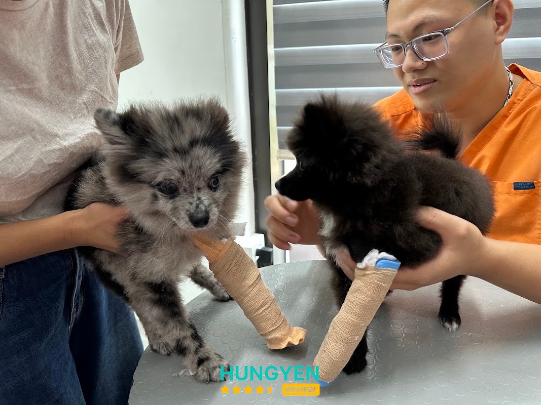 Phòng Khám Thú Y Gaia Pet-Ecopark – hình ảnh 2