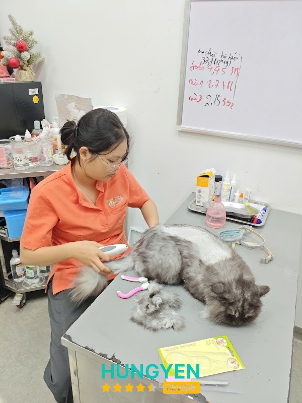Phòng khám Thú Cưng Gaia Petcare- Ecopark – hình ảnh 3