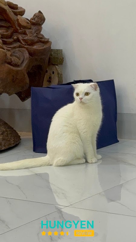 Phòng khám thú y Ecopet Phụng Công