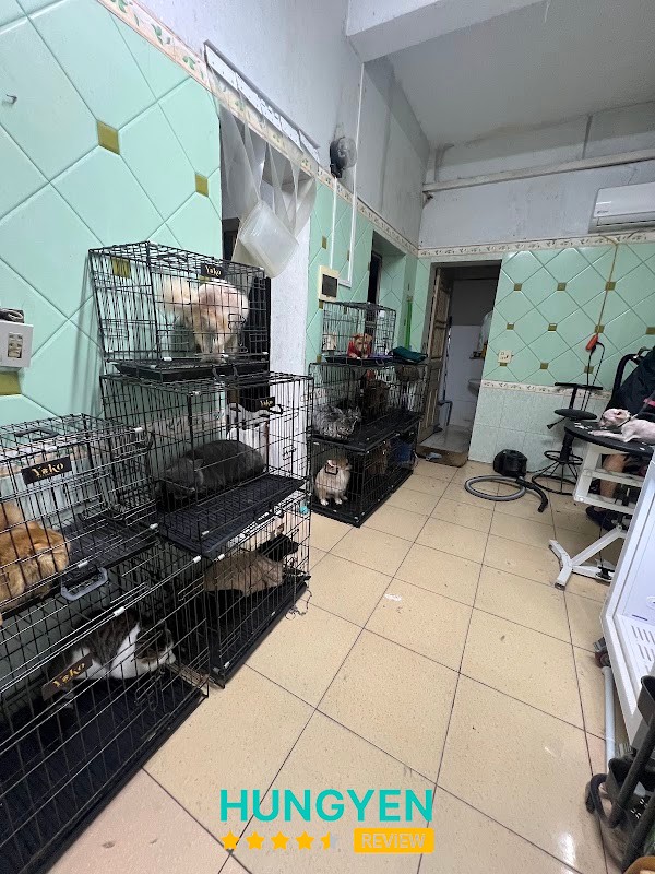 Bệnh viện thú y AVet Thái Bình – hình ảnh 2