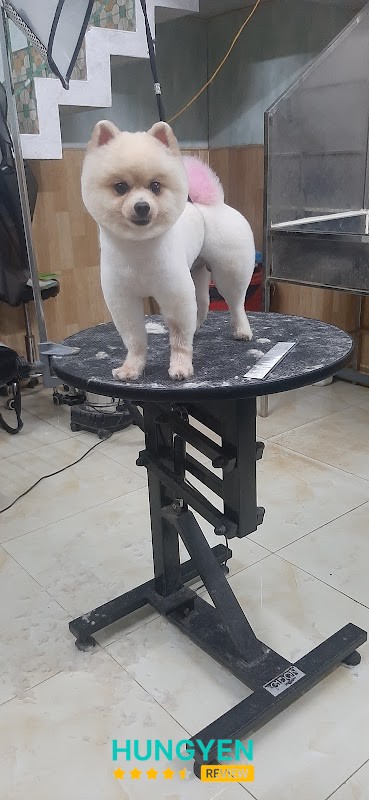 SU PET Thái Bình - Thế giới thú cưng – hình ảnh 3