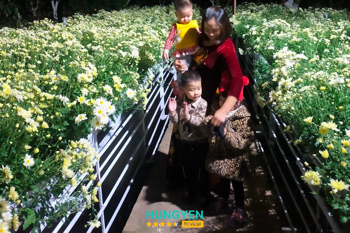 Meo Studio – hình ảnh 3